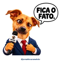 Figurinha do Caramelo: FICA O FATO.