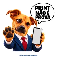 Figurinha do Caramelo: PRINT NÃO É PROVA