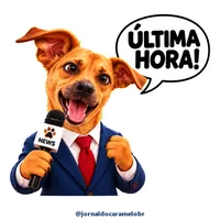 Figurinha do Caramelo: ÚLTIMA HORA!