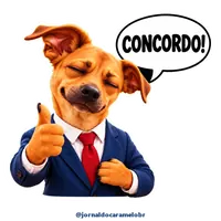 Figurinha do Caramelo: CONCORDO!