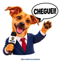 Figurinha do Caramelo: CHEGUEI!